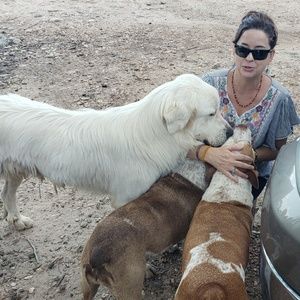 Meet your Posher, Julie